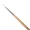 Кисть ПИФАГОР, КОЗА, круглая, № 2, деревянная лакированная ручка, с колпачком, 200825 - 2