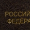 Обложка для паспорта, металлический шильд с гербом, ПВХ, ассорти, STAFF, 237579 - 3