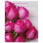 Пакет подарочный 26x12,7x32,4 см, ЗОЛОТАЯ СКАЗКА "Розовые розы", ламинированный, 606582 - 2