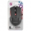 Мышь беспроводная DEFENDER Accura MM-275, USB, 5 кнопок + 1 колесо-кнопка, оптическая, красная, 52276 - 9