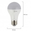 Лампа светодиодная ЭРА, 10 (70) Вт, цоколь E27, груша, холодный белый свет, 25000 ч., LED smdA60-10w-840-E27ECO - 2