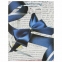 Пакет подарочный 17,8x9,8x22,9 см, ЗОЛОТАЯ СКАЗКА "Синий бант", ламинированный, 606599 - 1