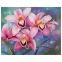 Картина по номерам 40х50 см, ОСТРОВ СОКРОВИЩ "Орхидеи", на подрамнике, акрил, кисти, 662908 - 1