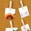 Прищепки декоративные "Классика", 10 штук, 7,2 см, дерево, со шпагатом, ОСТРОВ СОКРОВИЩ, 662675 - 4