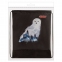 Мешок для обуви ПИФАГОР, 1 отделение, 42х34 см, "White Owl", 270182 - 4