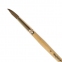 Кисть ПИФАГОР, БЕЛКА, круглая, № 6, деревянная лакированная ручка, с колпачком, пакет с подвесом, 200820 - 2