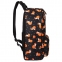Рюкзак BRAUBERG POSITIVE универсальный, потайной карман, "Sly foxes", 42х28х14 см, 270779 - 4