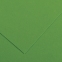Бумага (картон) для творчества (1 лист) SADIPAL "Sirio" А2+ (500х650 мм), 240 г/м2, зеленый мох, 7877 - 2