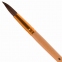 Кисть ПИФАГОР, БЕЛКА, круглая, № 8, деревянная лакированная ручка, с колпачком, пакет с подвесом, 200822 - 2