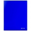 Папка на 2 кольцах BRAUBERG "Neon", 25 мм, внутренний карман, неоновая, синяя, до 170 листов, 0,7 мм, 227459 - 1