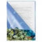 Папка-уголок BRAUBERG "SEA WORLD", А4, 150 мкм, цветная печать, 228042 - 2