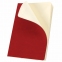 Блокнот МАЛЫЙ ФОРМАТ (100x150 мм) А6, BRAUBERG "Metropolis Ultra", под кожу, 80 л., клетка, красный, 111026 - 2