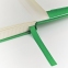 Блокнот А5 (142х214 мм), 100 л., твердая обложка, балакрон, на резинке, BRUNO VISCONTI, Зеленый, 3-101/03 - 5