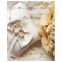 Фотоальбом BRAUBERG "Свадебный букет" на 200 фото 10х15 см, твердая обложка, переплет, бокс, 391152 - 2