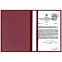 Папка адресная бархат бордовый, "Виньетка", формат А4, STAFF, 124294 - 2