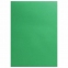 Цветной картон А4 ТОНИРОВАННЫЙ В МАССЕ, 10 листов, ЗЕЛЕНЫЙ, 180 г/м2, ОСТРОВ СОКРОВИЩ, 129312 - 2