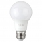 Лампа светодиодная ЭРА, 12(90)Вт, цоколь Е27, груша, холодный белый, 25000 ч, LED A60-12W-6500-E27, Б0045325 - 2