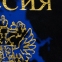 Обложка для паспорта, тиснение "Герб", ПВХ, ассорти, STAFF, 237580 - 3