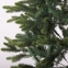 Ель новогодняя искусственная "Royal Green" 90 см, литой ПЭТ+ПВХ, зеленая, ЗОЛОТАЯ СКАЗКА, 591710 - 2