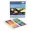 Пастель масляная ГАММА "Студия", 36 цветов, круглое сечение, картонная упаковка, 160320207 - 3