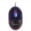 Мышь проводная SONNEN М-204, USB, 1000 dpi, 2 кнопки + колесо-кнопка, оптическая, подсветка, черная, 512632 - 1