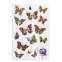 Наклейки гелевые "Яркие бабочки", многоразовые, с тиснением фольгой, 10х15 см, ЮНЛАНДИЯ, 661813 - 1