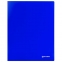 Папка 20 вкладышей BRAUBERG "Neon", 16 мм, неоновая, синяя, 700 мкм, 227451 - 1