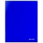 Папка 40 вкладышей BRAUBERG "Neon", 25 мм, неоновая, синяя, 700 мкм, 227455 - 1