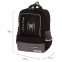 Рюкзак BRAUBERG STAR, 1 отделение, 5 карманов, "Spider", черный, 40х29х13 см, 229978 - 1