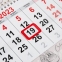 Календарь квартальный на 2023 г., 3 блока, 3 гребня, с бегунком, мелованная бумага, "BUNNY", BRAUBERG, 114247 - 4