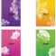 Тетрадь А5, 96 л., HATBER ECO, гребень, клетка, обложка картон, "Цветы" (4 вида в спайке), 96Т5C1гр - 1