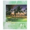 Фотоальбом BRAUBERG на 20 магнитных листов, 23х28 см, "Курорт", индивидуальный бокс, зеленый, 390687 - 2