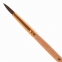 Кисть ПИФАГОР, БЕЛКА, круглая, № 4, деревянная лакированная ручка, с колпачком, 200818 - 2