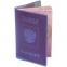 Обложка для паспорта полупрозрачная, ПВХ, цвет ассорти, ОД3-19 - 2