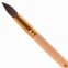 Кисть ПИФАГОР, БЕЛКА, круглая, № 9, деревянная лакированная ручка, с колпачком, пакет с подвесом, 200823 - 2