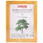 Рамка 15х20 см, дерево, багет 18 мм, BRAUBERG "Pinewood", янтарь, стекло, подставка, 391216 - 3