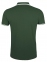 Рубашка поло мужская Pasadena Men 200 с контрастной отделкой, зеленая с белым - 1