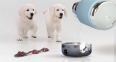 Термос Dog Bowl с миской для питомца, голубой - 7