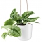 Горшок для растений Flowerpot, подвесной, белый - 3
