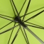 Зонт-трость Vento, зеленое яблоко - 5