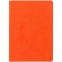 Ежедневник Basis, датированный, оранжевый - 2