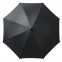 Зонт-трость Standard, черный - 1