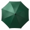 Зонт-трость Standard, зеленый - 1