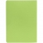 Ежедневник Flex Shall, датированный, светло-зеленый - 1