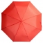 Набор Umbrella Academy, красный - 5