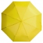 Набор Umbrella Academy, желтый - 5