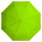 Набор Umbrella Academy, зеленый - 5
