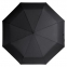 Зонт складной Пафос, черный - 5