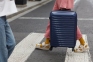 Чемодан Lightweight Luggage M, синий - 7
