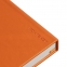 Ежедневник Magnet Shall с ручкой, оранжевый - 9